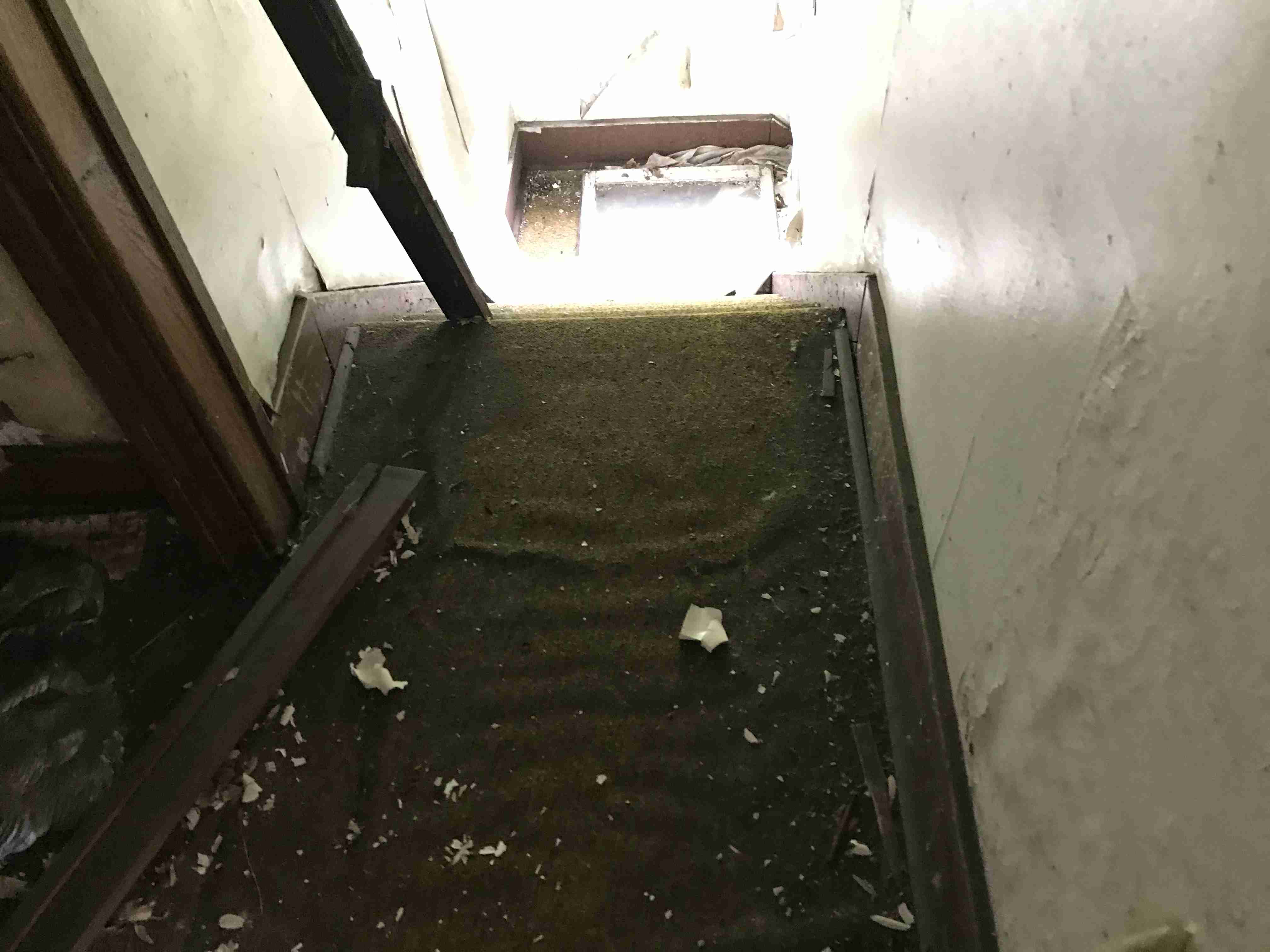 Photo Sep 09, 11 13 13 AM.jpg